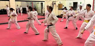 Image result for Colchester Wado Ryu Karate