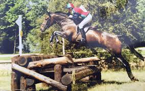 Image result for Porlock Vale Riding School