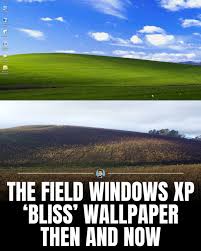 Image result for love windows xp wallpaper