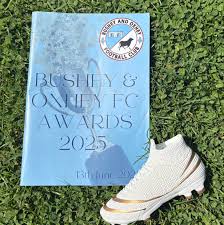 Image result for Oxhey Football Club