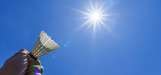 Image result for Wareham and Purbeck Badminton Club