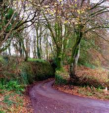 Image result for Callington Short Mat Bowls Club