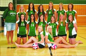 Image result for White Eagles Volleyball Club