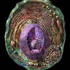 Attēlu rezultāti vaicājumam “Bryum funkii cells”