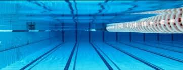 Image result for Sowerby Bridge Swimming Club