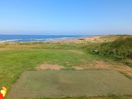 Image result for Hartlepool Gc