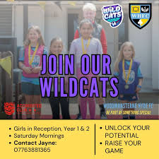 Image result for Woodmansterne Sports Fc