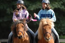 Image result for Lakes Riding Club