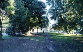 Image result for Goring By Sea Cc