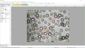 Attēlu rezultāti vaicājumam “Lycogala confusum spores”