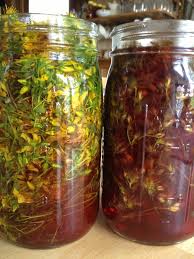 Attēlu rezultāti vaicājumam “Hypericum perforatum fruit”