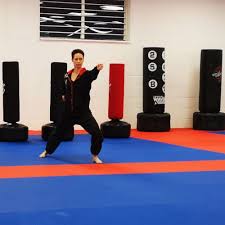 Image result for Farnham Kung Fu Club
