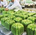 snopes.com: Square Watermelon