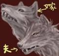 å‡ºç•ªã ®å°'ã ªã „è§'æ–°è¡Œæ›¸ るなおと