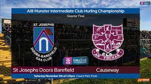 Image result for Causeway Hurling Club