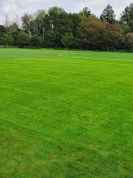 Image result for Broadbridge Heath Cricket Club