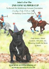 Image result for Banbury Bulldogs