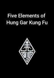 Image result for TRIANGLE CHANGQUAN FLYING DRAGON