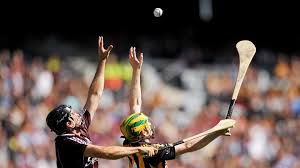 Image result for hurling