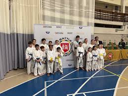 Image result for Bushido Academy Of Martial Arts (Bama)