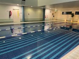 Image result for Chesterfield Swimming Club