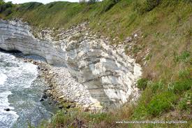 Image result for stevns klint