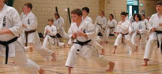 Image result for Mickleham Seiki Juku Karate Club