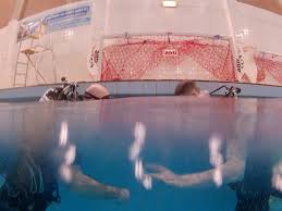 Image result for Ruislip Snorkelling Club