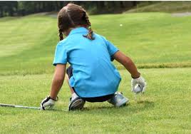 Image result for The Combe Martin Institute Club