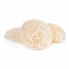 Attēlu rezultāti vaicājumam “Tremella ramalinae”