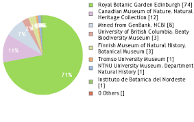 Attēlu rezultāti vaicājumam “Lophocolea minor macro”