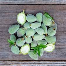 Image result for fresh green almonds