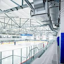 Image result for Sheffield Wildcats Rink Hockey and Roller Skating Club