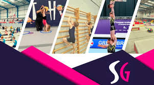 Image result for Spelthorne School Of Gymnastics