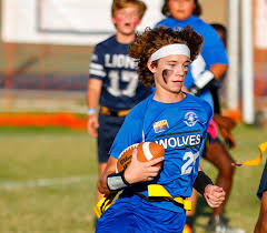 Image result for Phoenix Youth Sc