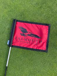 Image result for Falmouth Scrabble Club