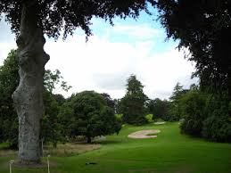Image result for Killin Golf Club