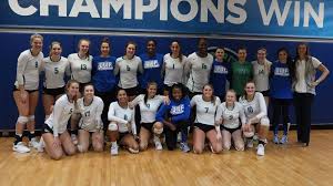 Image result for York University Volleyball Club