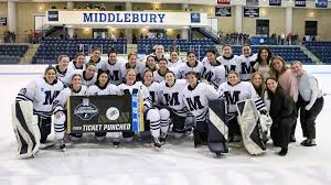 Image result for Didsbury Greys Ladies Hockey Club