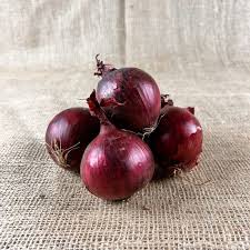 Image result for Zwiebeln