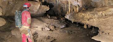 Image result for Venutios Caving Group