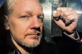 Image result for julian assange