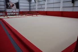 Image result for Colchester School Of Gymnastics