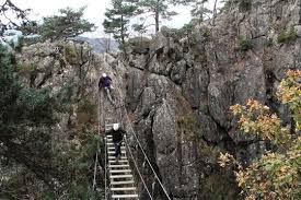 Image result for PONT DE SINGE