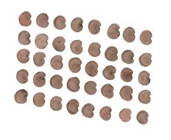 Attēlu rezultāti vaicājumam “Silene wolgensis”