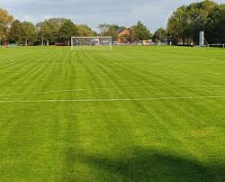 Image result for Garleton Football Club