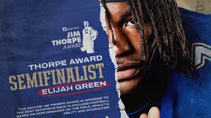Image result for Thorpe Green Fc