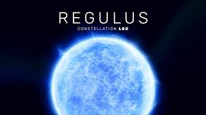 Attēlu rezultāti vaicājumam “Regulus regulus”