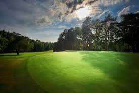 Image result for Puttenham Golf Club