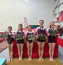 Image result for Rowan Gymnastics Club
